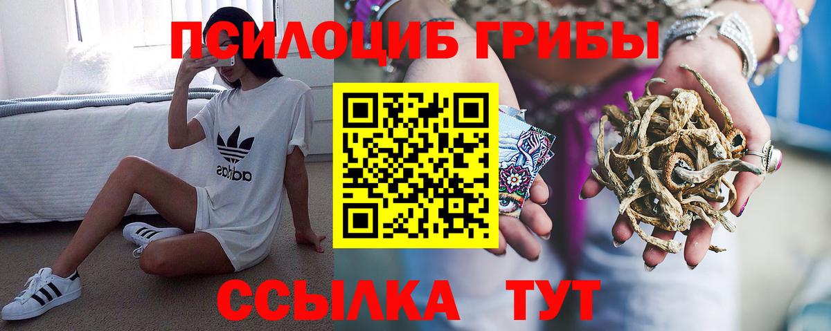 Галлюциногенные грибы прущие грибы Алексин